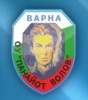 ОСНОВНО УЧИЛИЩЕ ПАНАЙОТ ВОЛОВ